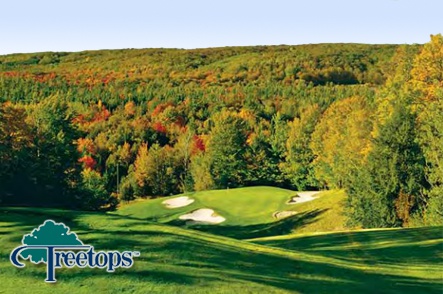 Treetops Resort Photo