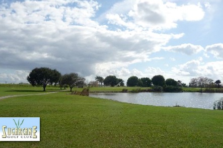 Sugar Cane Golf Club GroupGolfer Featured Image