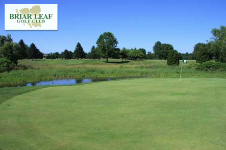 Briar Leaf Golf Club GroupGolfer Featured Image