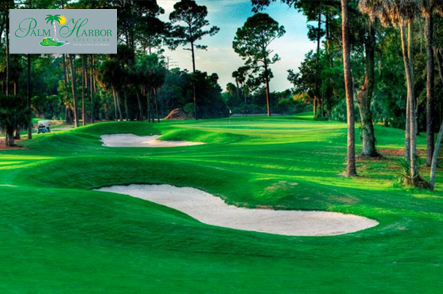 Palm Harbor Golf Club GroupGolfer Featured Image