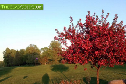 The Elms Golf Club GroupGolfer Featured Image