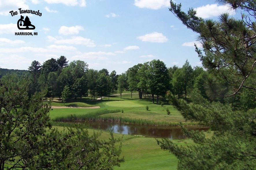 The Tamaracks Golf Course GroupGolfer Featured Image