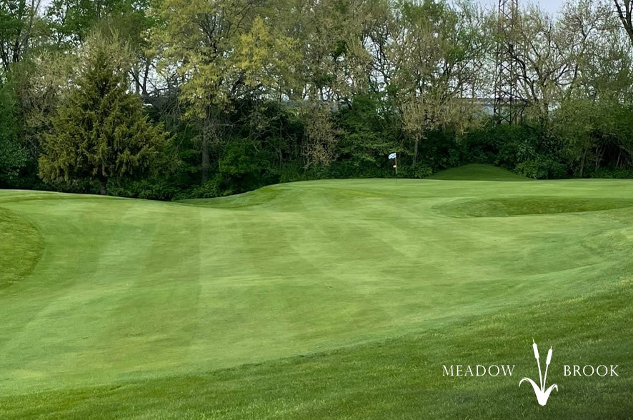 Meadowbrook Golf Course GroupGolfer Featured Image