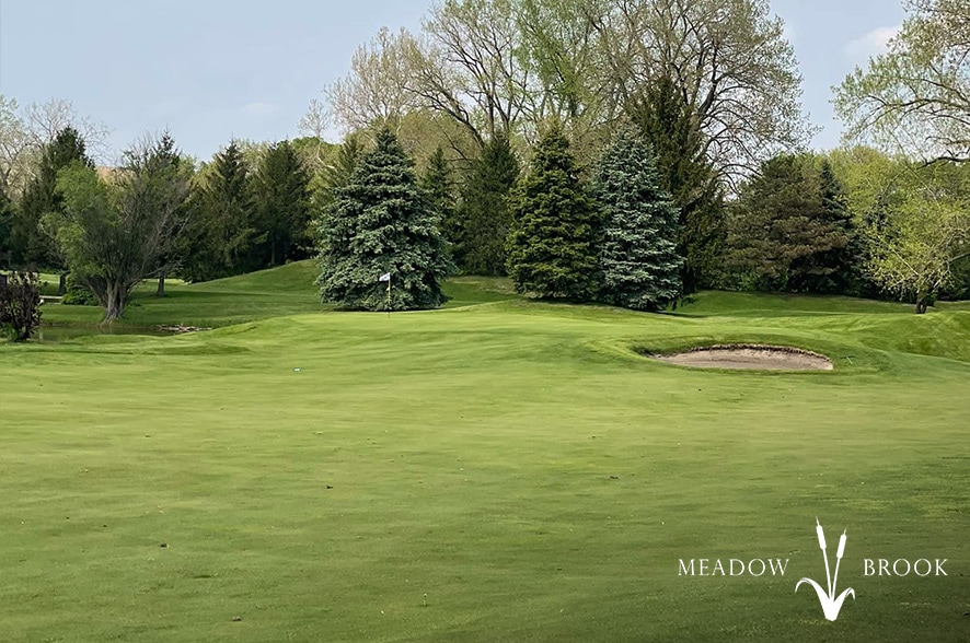 Meadowbrook Golf Course Photo