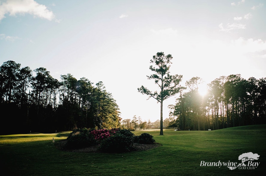 Brandywine Bay Golf Club GroupGolfer Featured Image